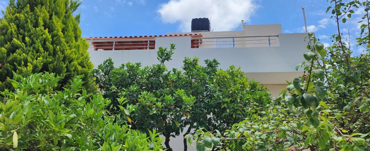 הרסוניסוס Villa Elli מראה חיצוני תמונה