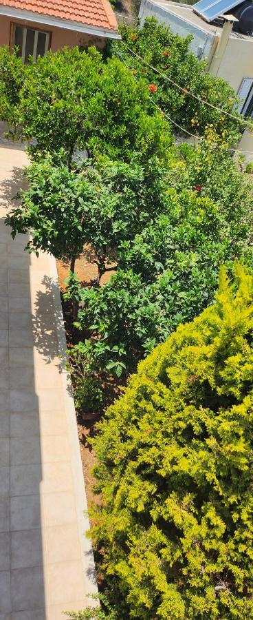 הרסוניסוס Villa Elli מראה חיצוני תמונה